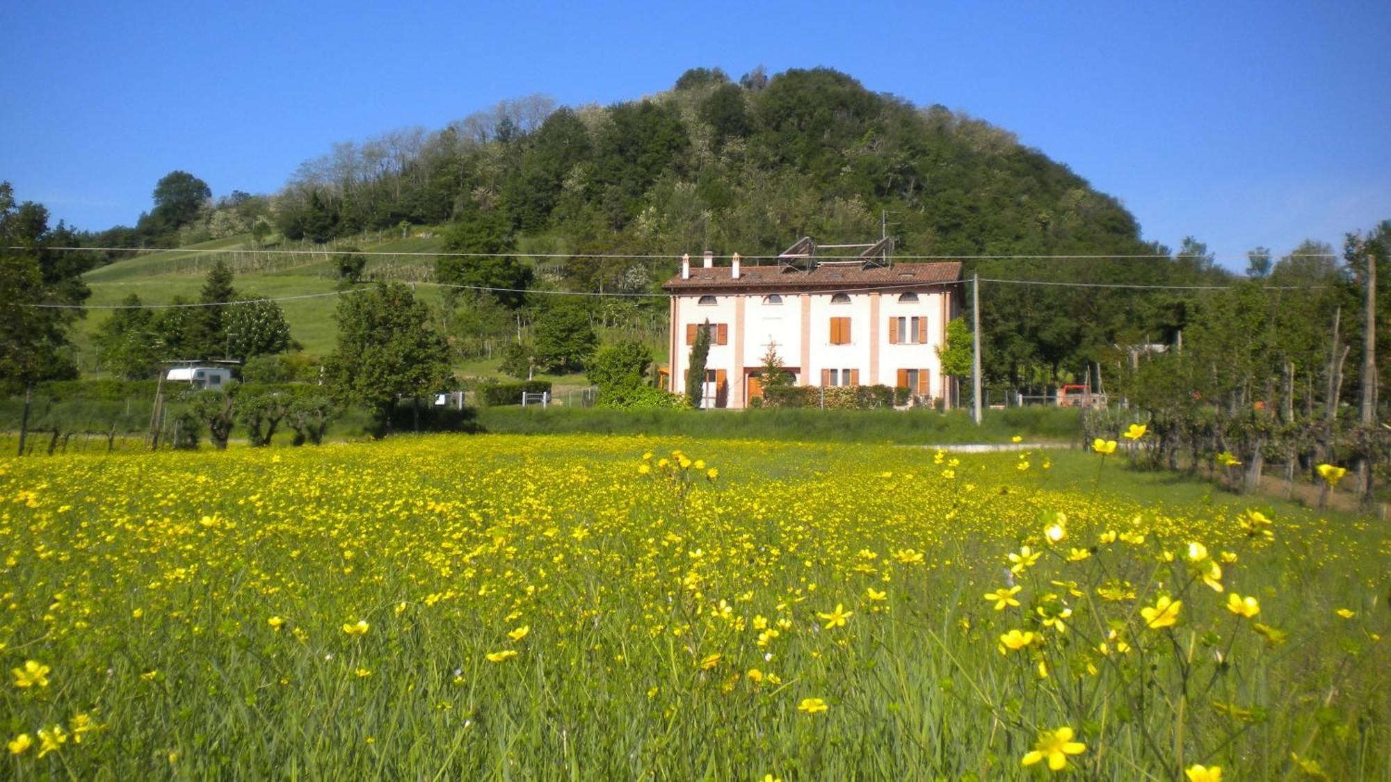 Agriturismo Il Cavicchio Pianoro Exterior foto